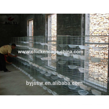 Cheap Layer Pigeon Breeding Cage para la venta con la trampa de la paloma